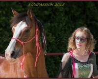 1-13JUIN 0832